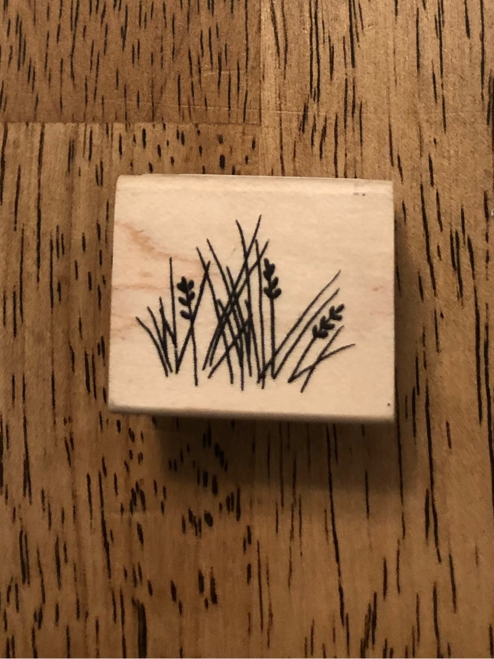 Judikins Wooden Grass Motif Stamp — Natural Cream Craft Stamp